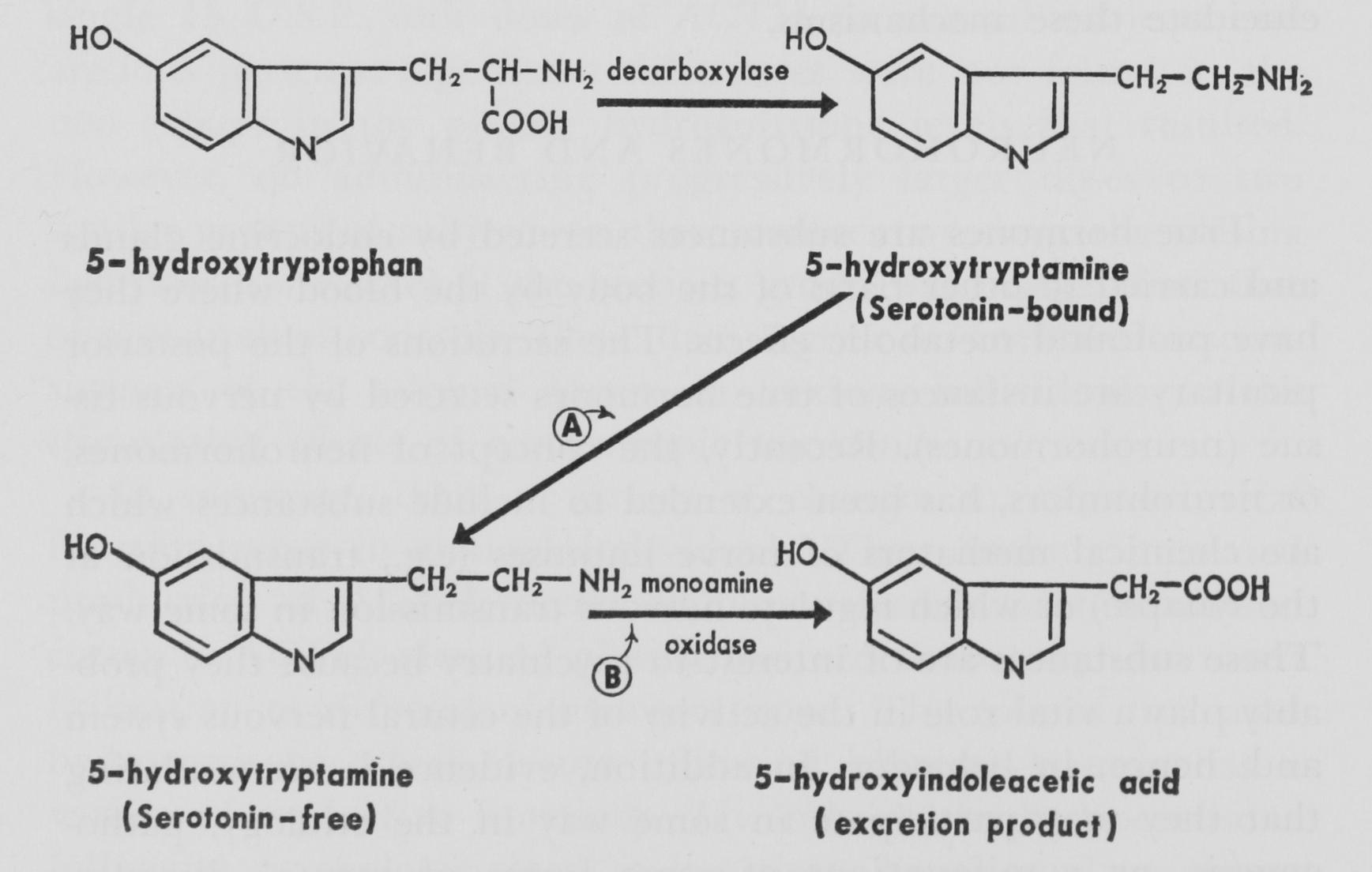 NEUROHORMONES-CHEMICAL-BASES